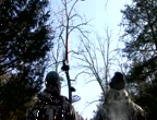 PROFESSIONAL HUNTER